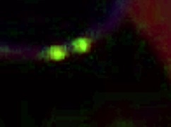 lecherous male piss on tits his wenchs and fucks in ass her