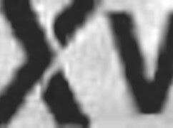 Curvy Busty Women Licking Each Other by the Pool