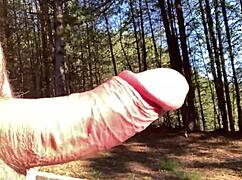 Clitlicker update 35 image