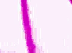 Watch Sexy Lily And Heather Starlet Play Sensually?