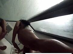 罗米·雷恩说，大奶女同玩乐