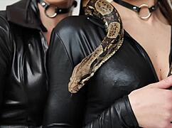 在这个教程中，罗克西福克斯指导感官手淫技巧，用黄瓜元素和专注高潮