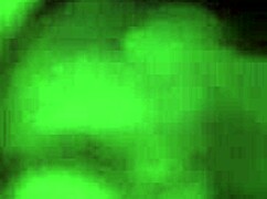 uma eagerly licks and sucks on the brunettes juicy pussy in a steamy encounter