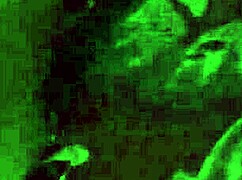 uma eagerly licks and sucks on the brunettes juicy pussy in a steamy encounter