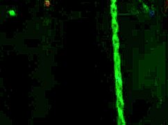 交换俱乐部黑白群趴巨量精液狂喷