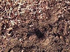 man i just cant get enough of blowin this sexy red teen slut's big ass