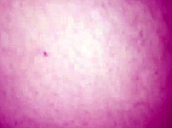 I FOUND MY SOUL MATE AND LET HIM FUCK ME ON THE CREAKY BED