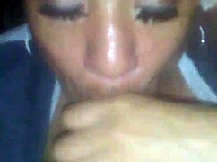 Can I Suck Your Cock