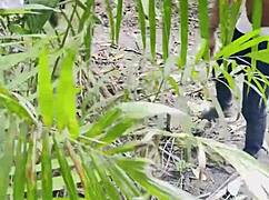 the bardie ventured into the forest and encountered the king. he ripped her clothes for hairy pussy slapping and wet cucumber insertion outdoors.