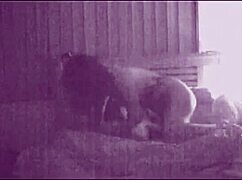 Amateur couple fucking with kissing, moaning, and orgasm