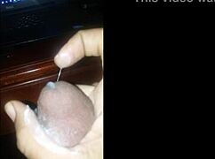 Seven solo moments in a compilation