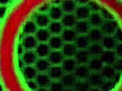 Taking Care of Sexy Yummy Sara Jay on That Desk