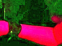 Glory Hole - Experimentando Mais Um Dotado Gostoso!