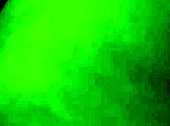 my wife and the black housewife blowjob fun 😏 part 3