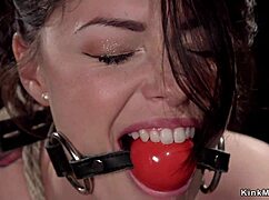 Hogtied Beauty Gets Fucked With Dildo