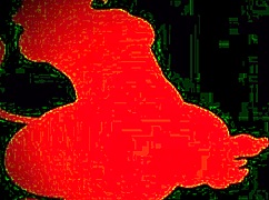 马勒菲卡斯哥伦比亚拉丁骚妹舒压按摩放松 第一部