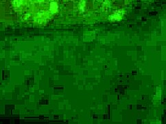 Madura01 very hot mature woman on June 14 2025