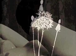 Dark lantern presents vintage foursomes from erotic confessions.