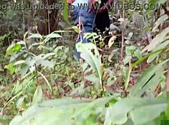 灌木丛里猛干黑胖屄超激烈