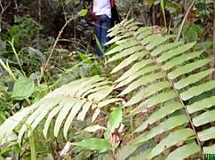 灌木丛里猛干黑胖屄超激烈