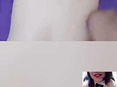 Aurora Estelar Compilation 1