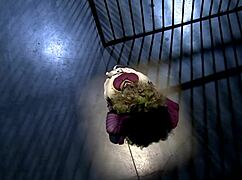 Joker parody features bisexual group sex with rough fucking and orgasms