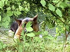 sabine petzl kommissar rex ein moerderischer sommer 1994