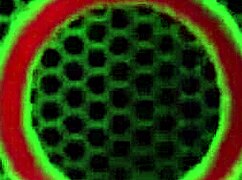 Asante Stone Bangs Cougars Sara Jay In A Group Session