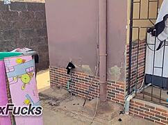 Olosho House Sweet Experience Living With Ashawo