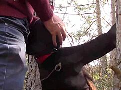 preview - milf bondage hood facefuck compilation