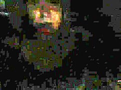 维多利亚·迪亚斯和罗布·卡瓦略的狂野野外大乱干😜