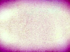 eveline dellai arrives at her shared hostel room and meets michael her hot new roommate