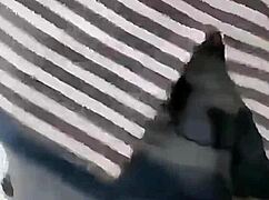 Did I give my ass to two teachers in the school bathroom?