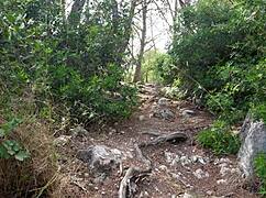 fuck fuck car in the wood with aixmen la cubana 😍