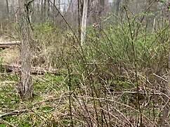 Emo Slut Blows Cock in Public Park