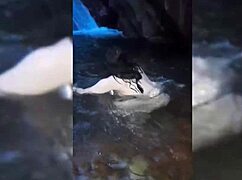 Sexo En Torrente Con Chica Blanca Y Muy Femenina Buenos Sentones Después De Mamarlo Duro