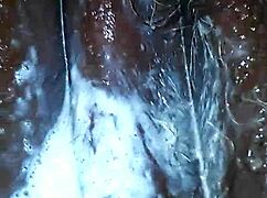 playboy goo gets licked in a casual story