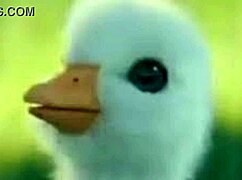 Interviewing Commentators Two: Patito Shitpost Soygaulex Extravaganza!