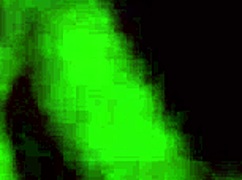 Nana fontanelli, julia's mom, hopped in the car and took it deep with a creampie