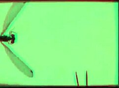 dark lantern presents dragonfly freddie