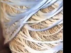 Se Corre A Chorros Mi Suegra Cuando Le Meto Mi Polla Enorme En La Casa De Mi Novia Milf Pussy