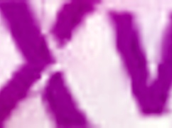 Sophi Holmes gets anal fisted by big black cock