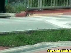 real hitchhiker amateur buffs driver knob