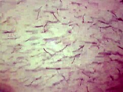 pussy licking first time my husband