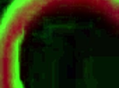 What a wild threesome with kandi bossbitch