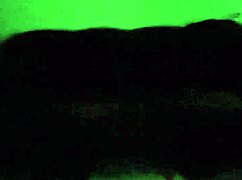 Threesome Two Hotties At Home I Choose One While Other Cooks Novinha Swallows My Cum