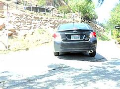 i messed up and fingered that hairy cunt so hard