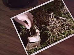 Bound Ashley Lane Faces Fucking and Ass Licking in California