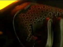 What Lies Beyond The Veil Of The Unknown Horizon?