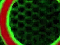 julia ann teases her pussy through red underwear